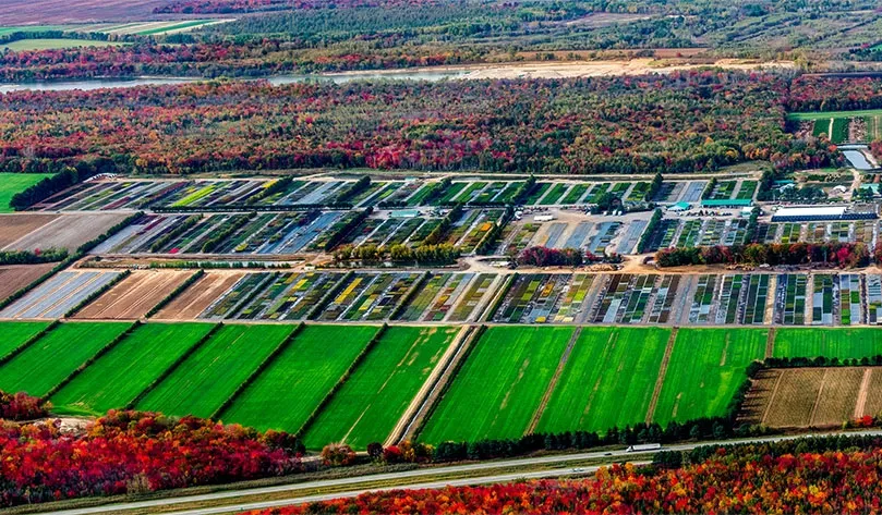 Mapping services in Canada for businesses