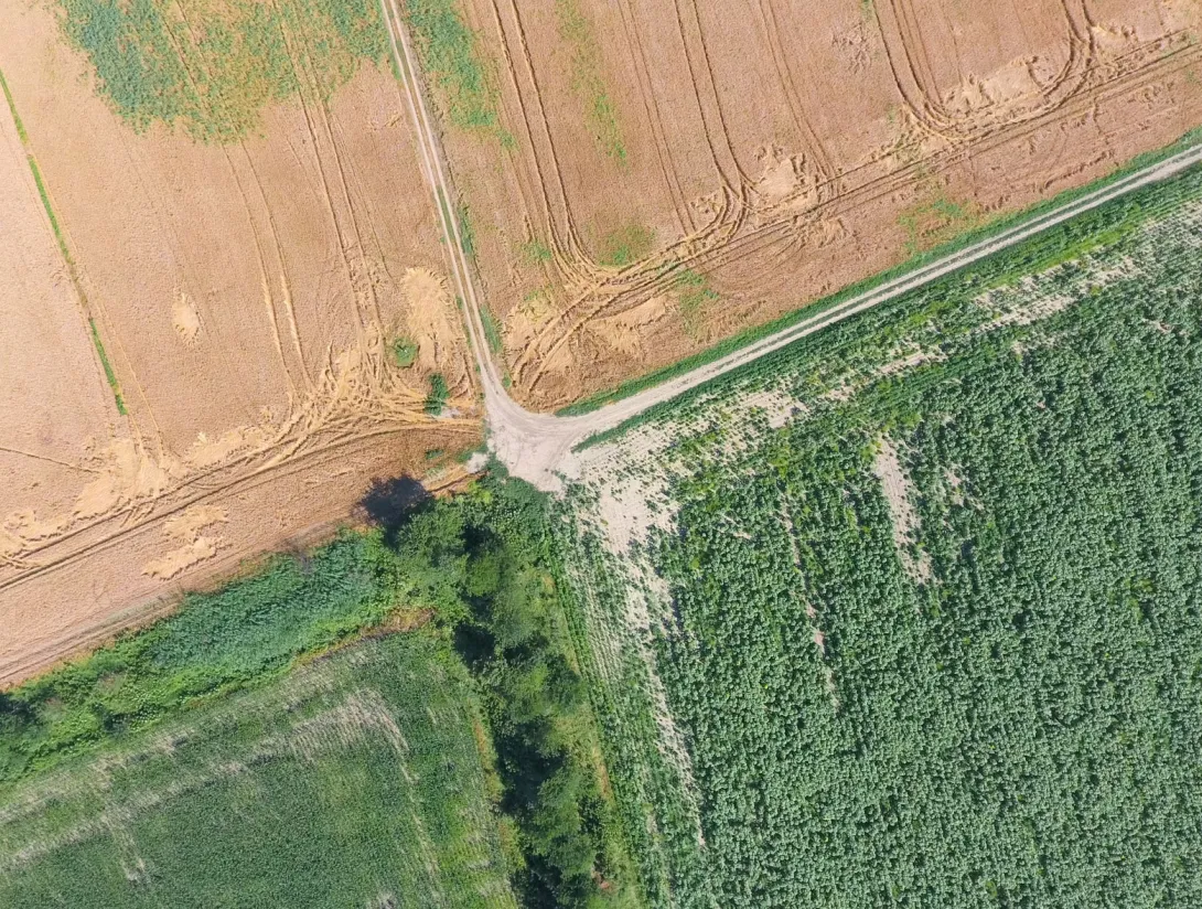 Drone inspection service